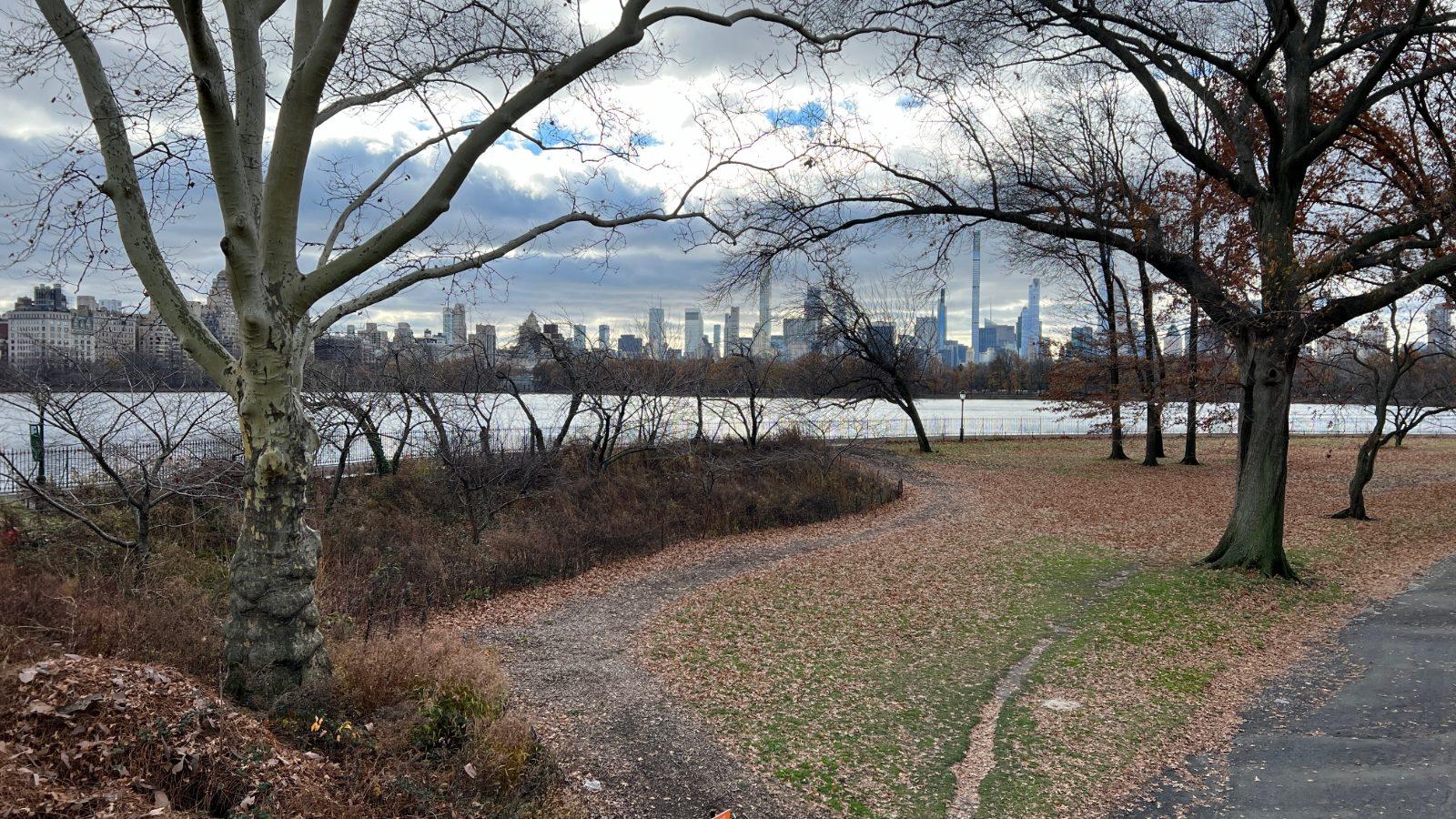 El pulmón de Manhattan | Central Park a pie. Nueva York